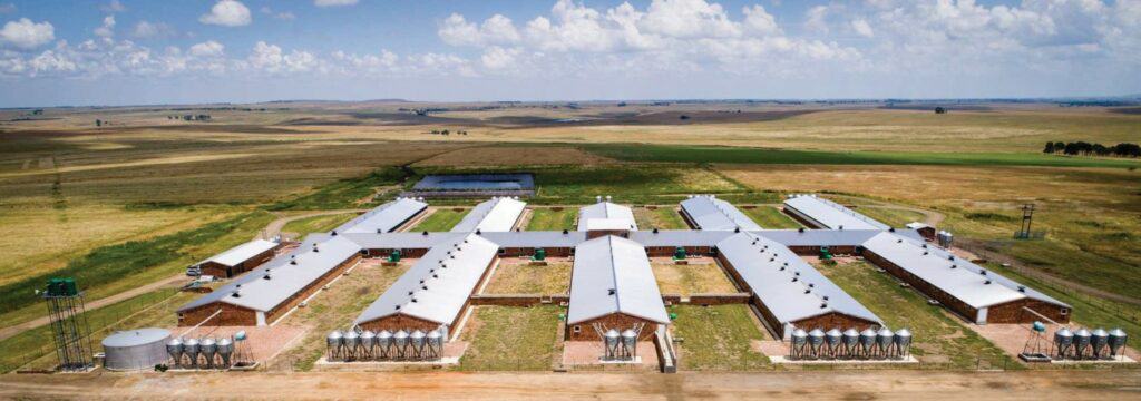 Join us for a virtual tour of Topigs Norsvin South Africa